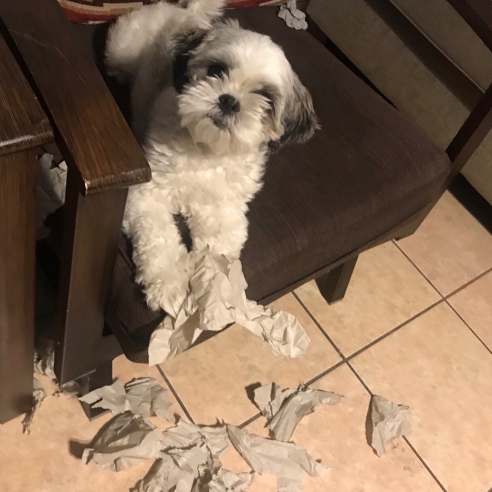 Meet your Posher, Andy